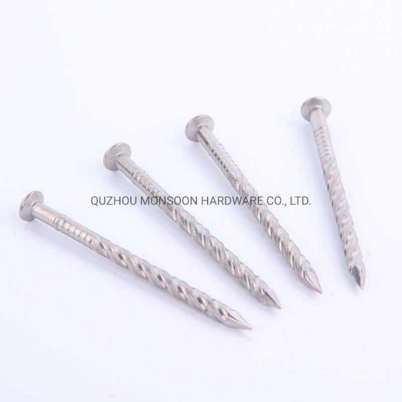 Stainless Steel Convex Head Nails
