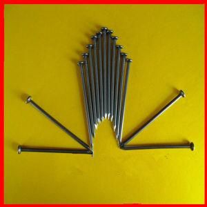 Top Quality Common Nail Tianjin Supplier