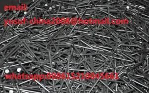 Export Common Nail for Construction 1/2&quot; -6&quot; Building Nail