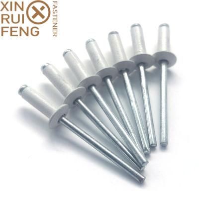 Hot Sale Dome Head Rivet Carton Steel Aluminium White Painted Blind Rivets