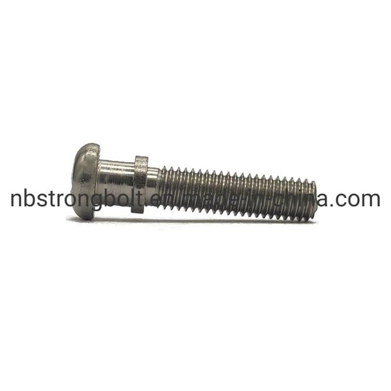 Customization Screws Specially Factory 10years Customizationbolt Factory
