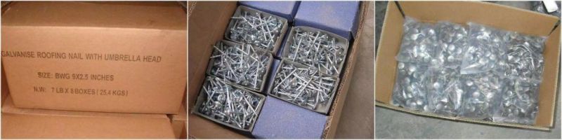 Hot Dipped Commen Galvanized Roofing Nails