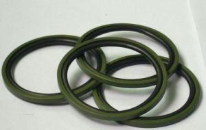 High Performance Polytetrafluoroethylene Glyd Ring