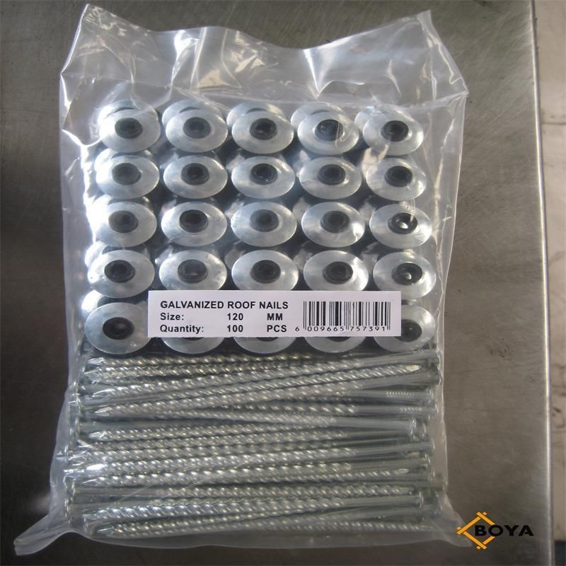 High Quality Galvanized Twisted Screw Shank Pallet Roofing Nail with Assemble Washer