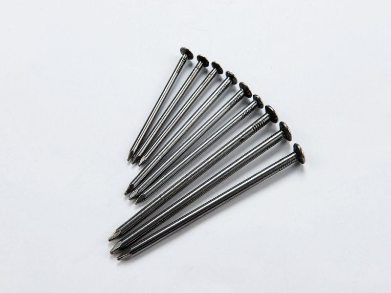 High Quality Steel Nail Manufacture in China