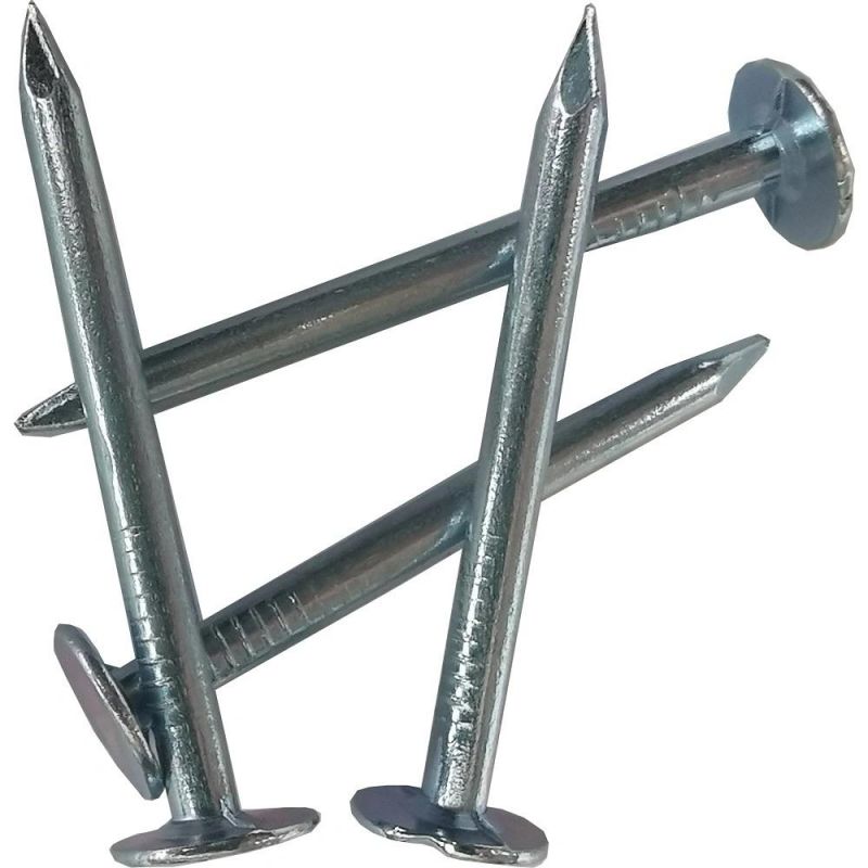 Electro Galvanized Clout Nail with Cheap Price