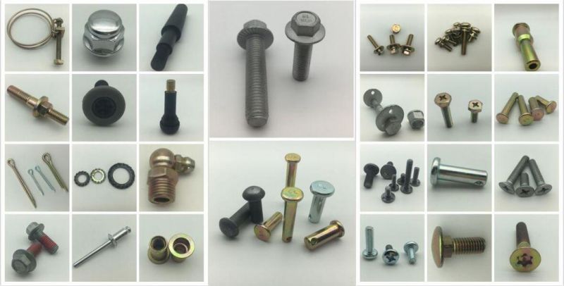 Hex Head Screw Plug Insert Magnetism