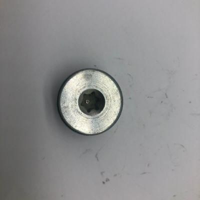 Plug Screw with Rubber for Sealing T30