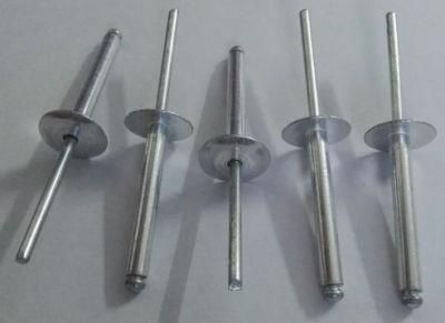 Supplier of Large Flange Head Steel/Steel Blind Rivet