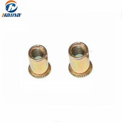 in Store Brass Flat Head Rivet Nut with Knurled