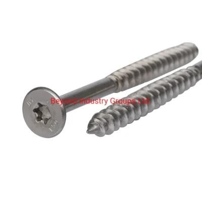 T50 Torx Screw Factory
