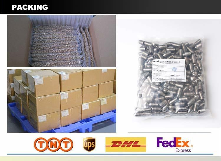 Slotted Ball-Nose Spring Plungers with 316 Stainless Steel Body and 316 Stainless Steel Nose 8686A11