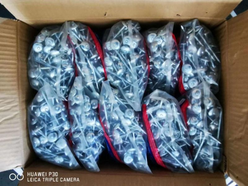 Galvanized Roofing Nails with Color Gasket Factory Price From China Dezhou City