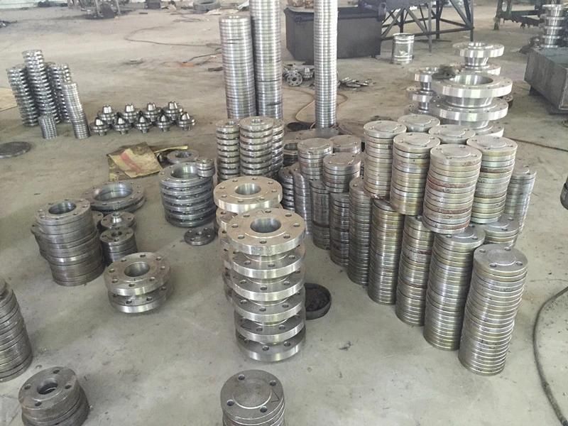 API Standard Stainless Steel Forged Flange