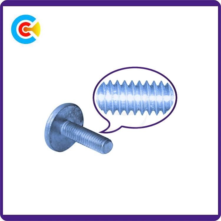 Carbon Steel 4.8/8.8/10.9 Galvanized/M6 Customized Plastic Fastener Round/Flat Head Screws