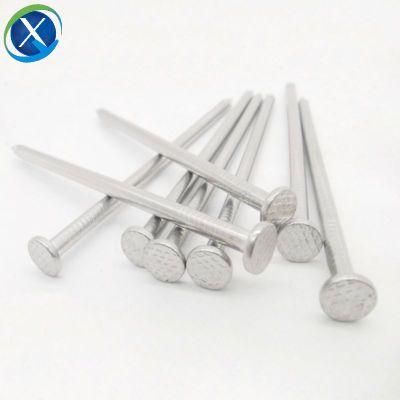 Galvanized Common Concrete Iron Nail