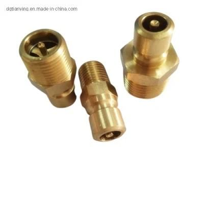 Dme Mould Brass Water Hose Quick Coupler with Valve