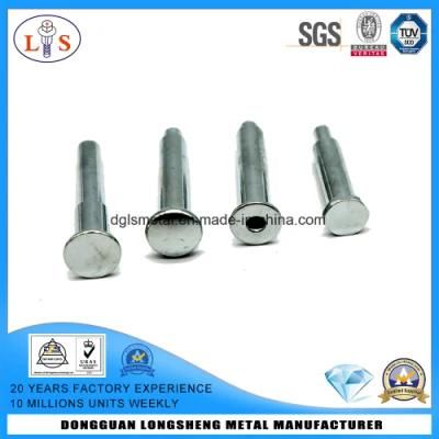 Auto Fastener Non-Standard Rivet Customized Rivet