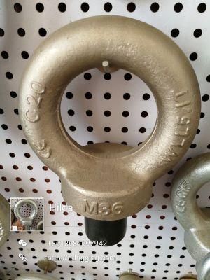 Hot-DIP Galvanized Shoulder DIN580 Eyebolt and Nuts