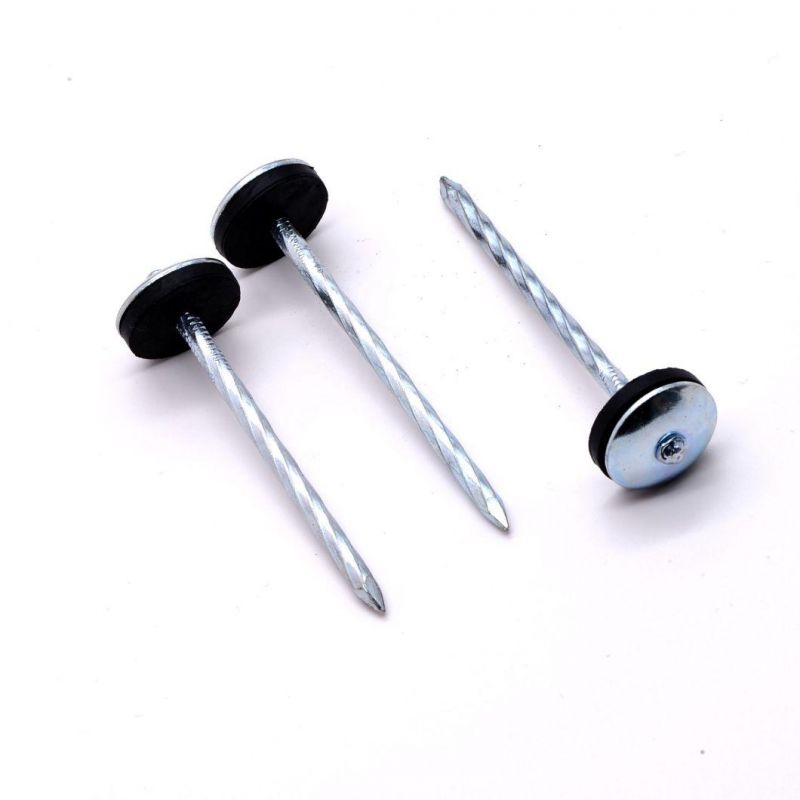 Galvanized Umbrella Head Roof Nails Umbrella Head with Roofing Nails for Africa