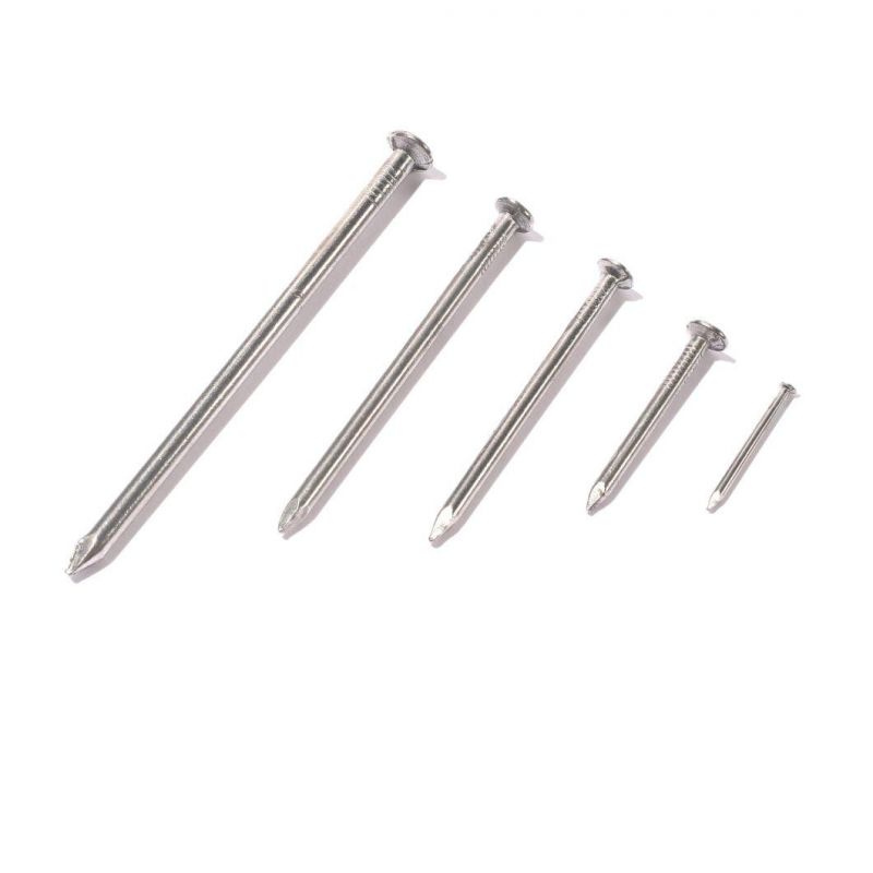 Lower Factory Price Polished Common Round Iron Wire Round Head Nails