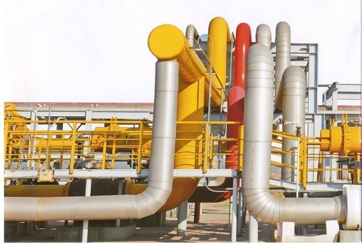 ANSI Standard Stainless Steel Flange