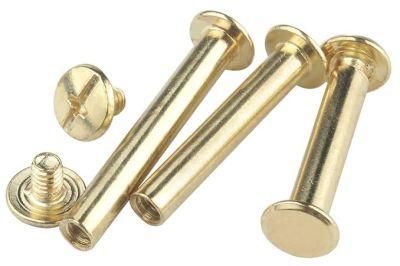 Nuts Butt Joint Cross Combination Splint Screws Knock on Screws Child and Female Rivets