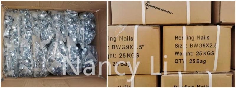 Bwg12X2" Umbrella Head Roofing Nails 50kg