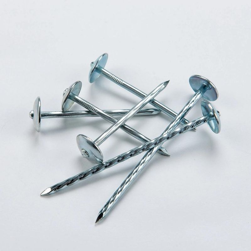Galvanized Roofing Nail with Umbrella Head for Building and Connect