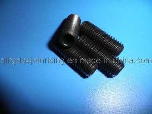 Grub Screws