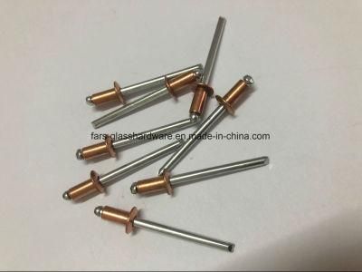 China Rivet Fastener of Metal Rivet