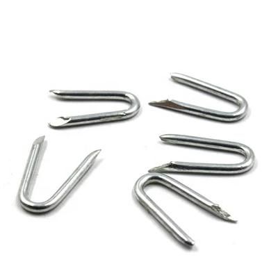 Polished U Type Nail 18ga 9012 9040 Industrial Fence Staple Zinc Coated Nails in China Factory Lowest Price