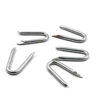 Polished U Type Nail 18ga 9012 9040 Industrial Fence Staple Zinc Coated Nails in China Factory Lowest Price