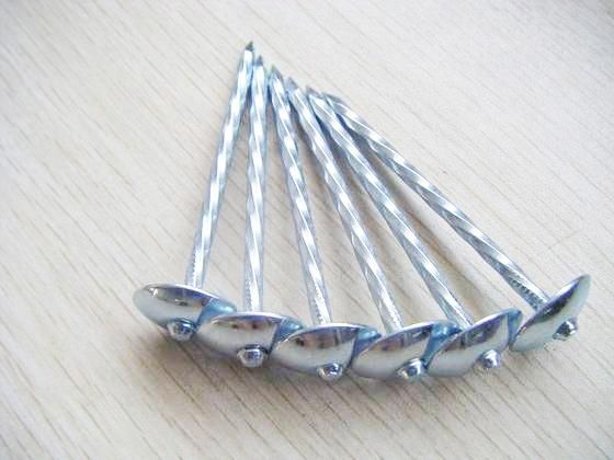 Galvanized Roofing Nails with Umbrella Head 9bwg*2.5′ ′