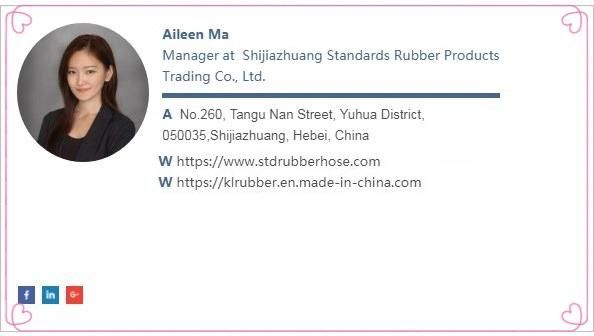 Stainless Steel Hydraulic Rotating Hose Fitting