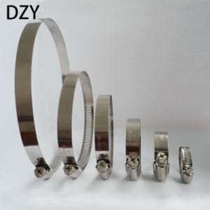 Low Price High Quality Hose Clamp From China
