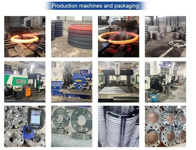Forged Carbon Stainless Alloy Steel ASME B16.5 Sch40 Sch80 ASTM A105 Weld Neck Flange