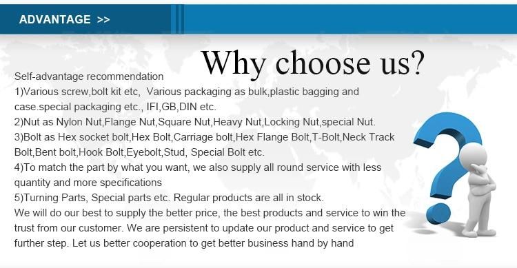 DIN1587 Hex Domed Cap Nut Acorn Nuts