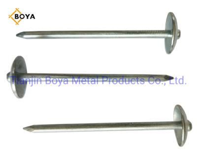 Roofing Nails Nail Iron Nail Roofing Nails Iron Material Q235 and Galvanized Roofing Nail with Umbrella Head