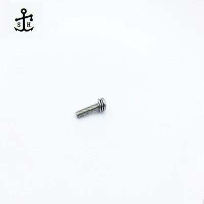 Ss Cross Recessed Small Pan Head Screw and Washer Assemblies with Plain Washers Made in China