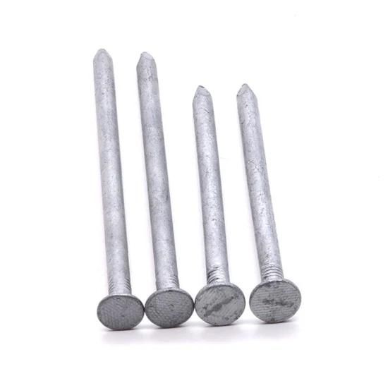 Hardware Nail/Polished/Hot Dipped/ Galvanized Iron Nail