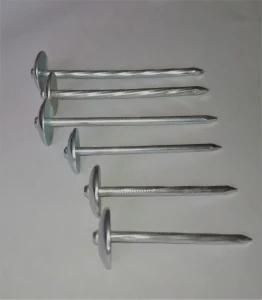 Galvanized Umbrella Head Roofing Nail, Nails for Roof