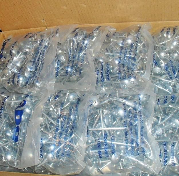 China Wholesale Gal. Roofing Nails/Roofing Screw