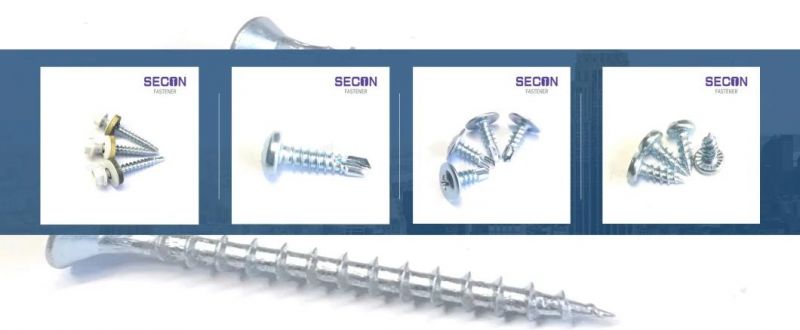 China Factory Self Drilling Screw/Drywall Tapping Screw/Chipboard Screw/Wood Screw/Roofing Screw/Machine Screw/Tornillo/Stainless Steel Screw/Hex Bolt/Hex Nut