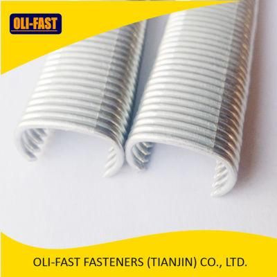 C Hog Rings Staple /Hog C Ring Nail/15g100 Hog Ring