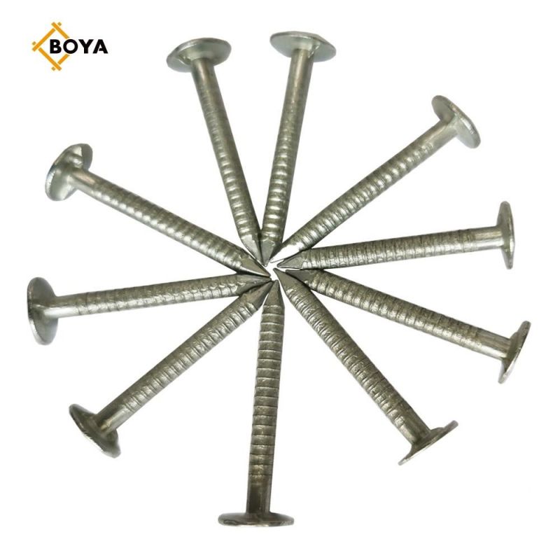 Hot Sale Ring Nail with Competitive Price