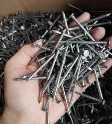 Best Price Common Round Nails Concrete Steel Nails Woodworking Furniture Widely Used Nails