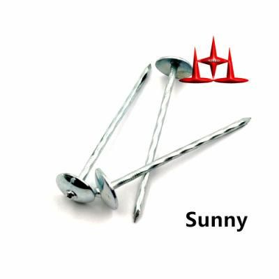 2-1/2&quot;Xbwg10 Electric Galvanized Roofing Nail, Umbrella Head Roofing Nail