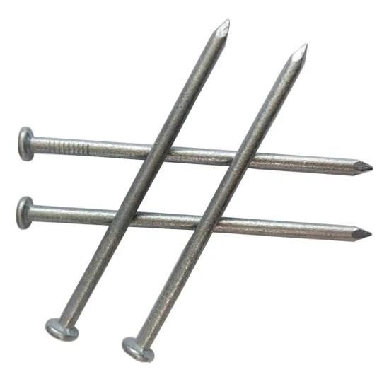Direct Manufacturer in Dingzhou Grooved Galvanized Concrete Nail Galvanised Steel Nails /Congo Market Concrete Nail / Cameroon Market Concrete Nail