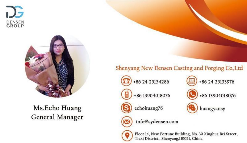 Densen Customized Auto Part Manufacturing Machinery Push Nuts Stainless Steel Precision Casting Parts